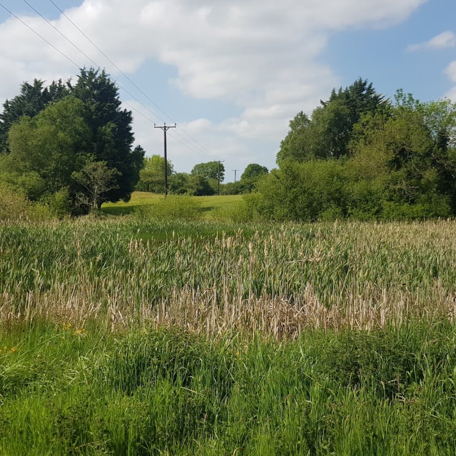 Scarva Park - Foto 4