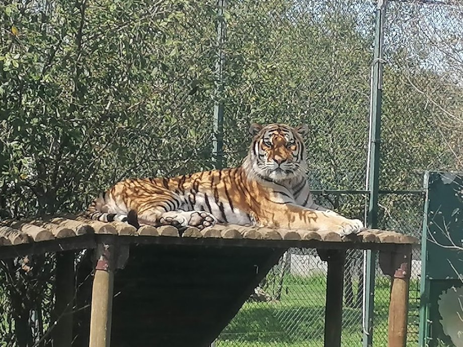 Zoo Santo Inácio - Foto 5