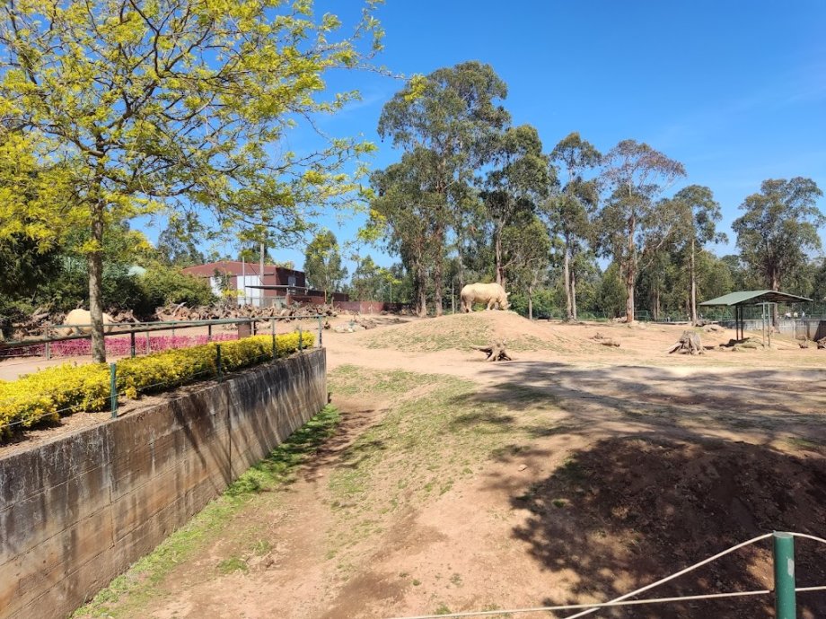 Zoo Santo Inácio - Foto 6