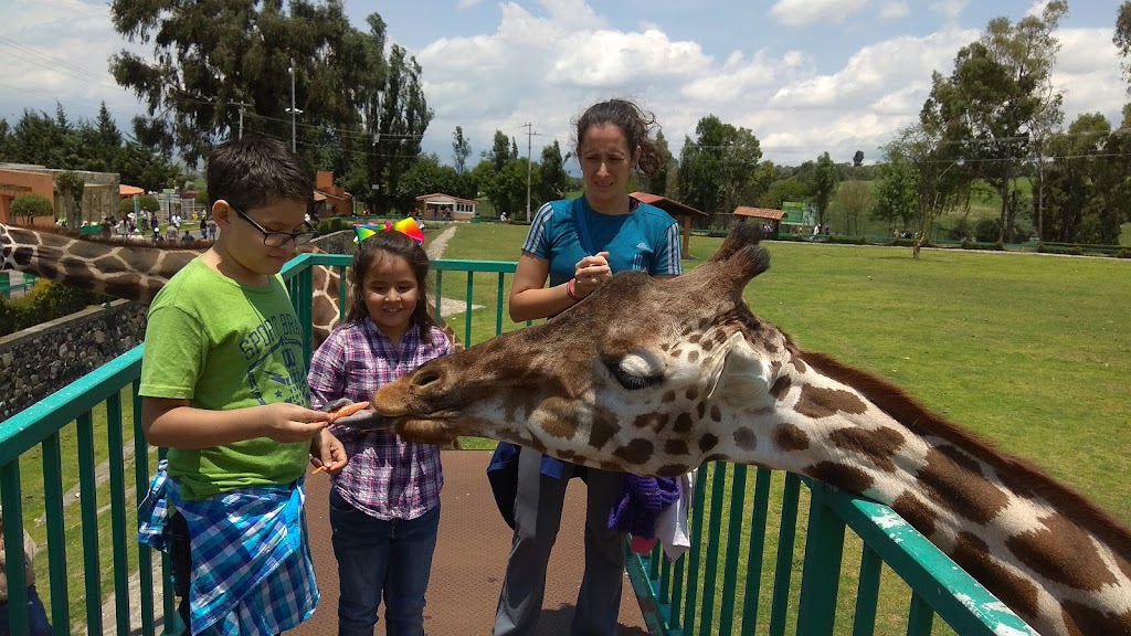 Parque Ecológico Zacango - Foto 1