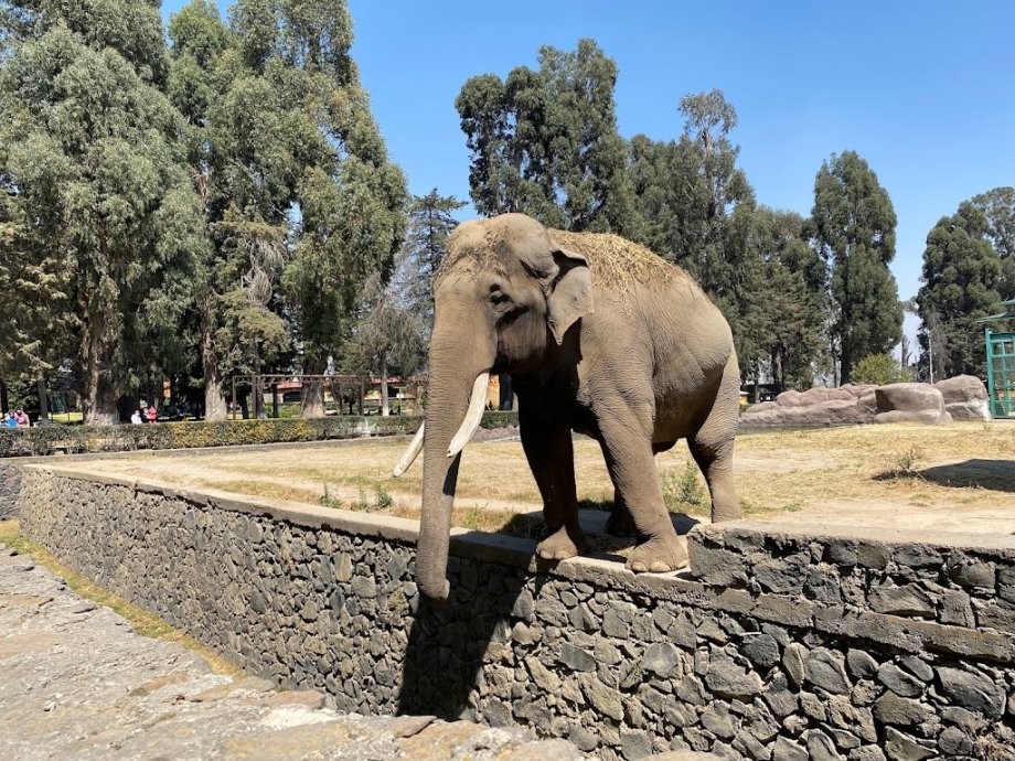 Parque Ecológico Zacango - Foto 3
