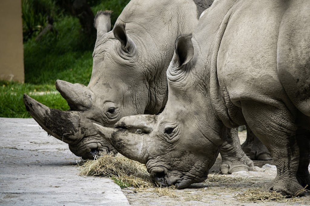 Parque Ecológico Zacango - Foto 1