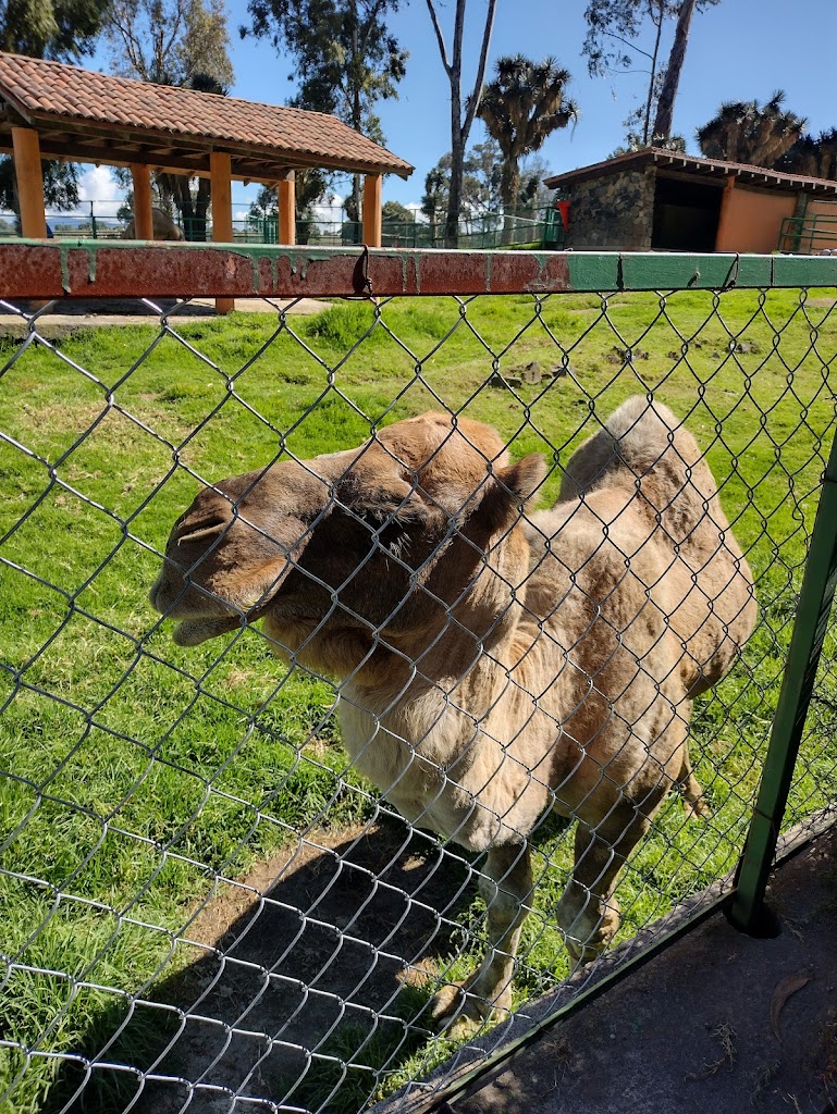 Parque Ecológico Zacango - Foto 1
