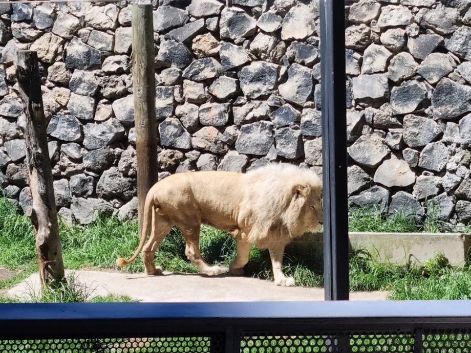 Parque Ecológico Zacango - Foto 6