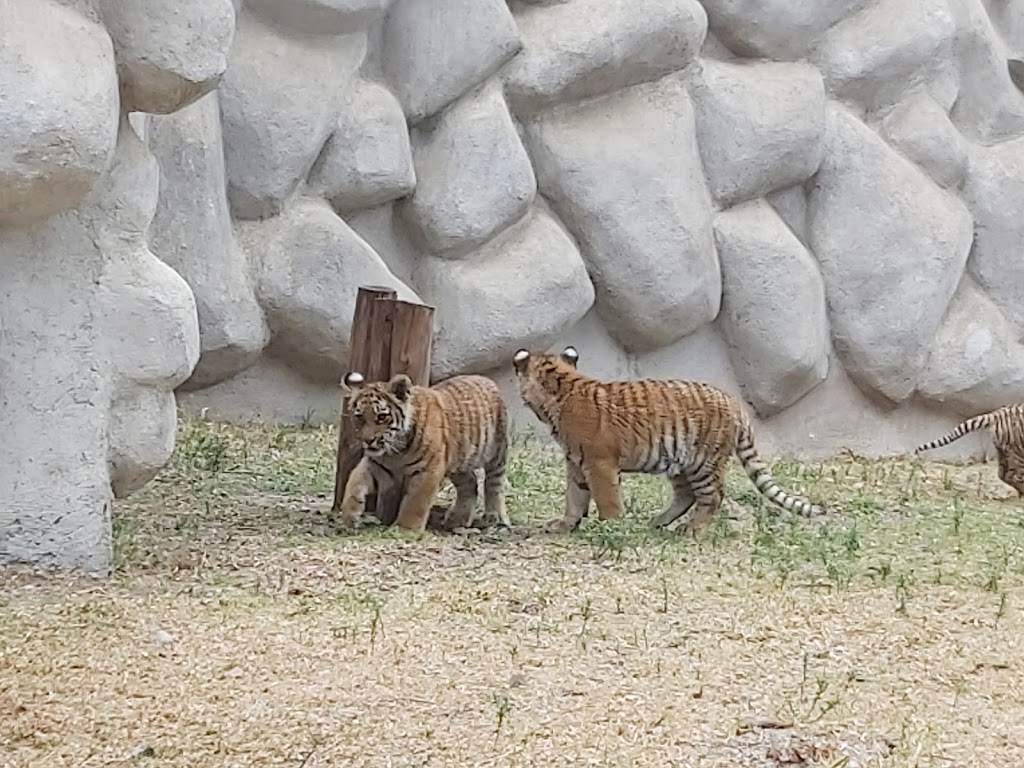 Parque Ecológico Zacango - Foto 1