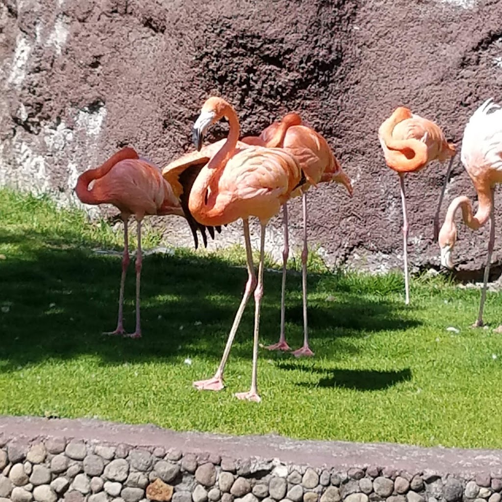 Parque Ecológico Zacango - Foto 1