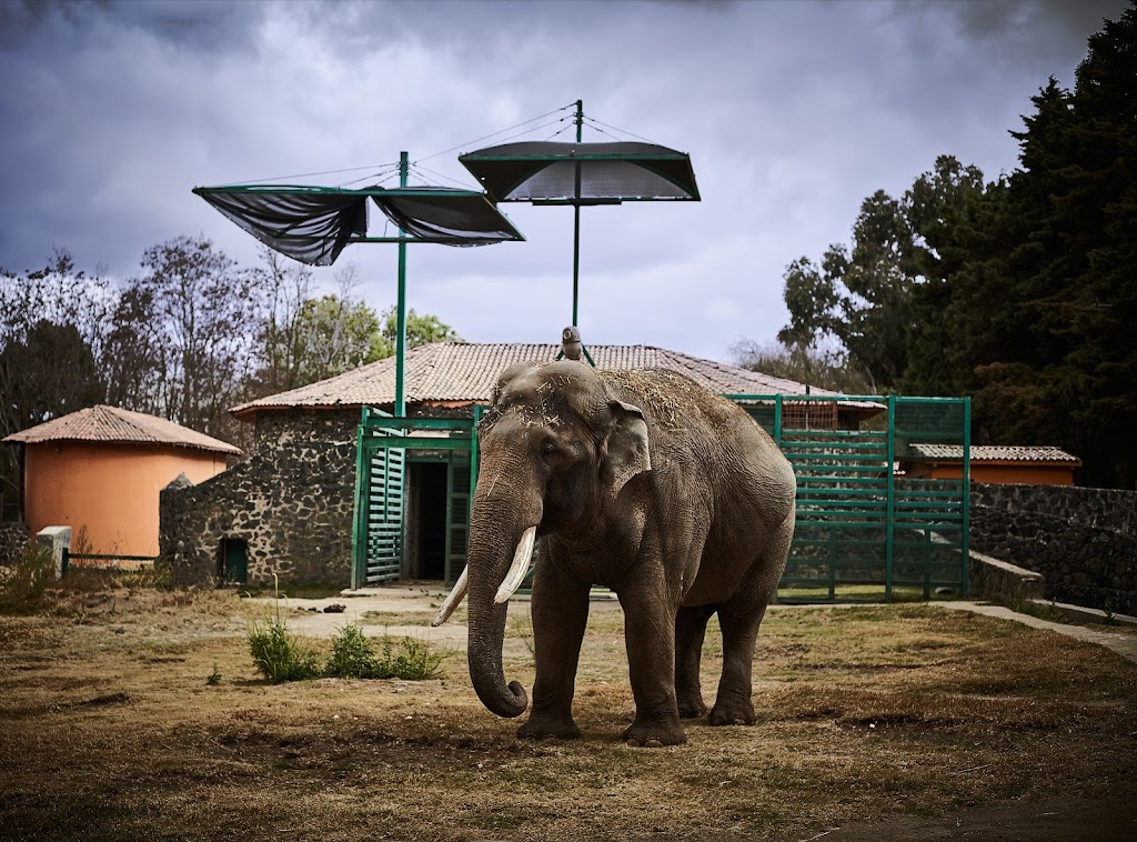 Parque Ecológico Zacango - Foto 1