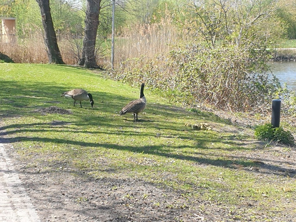 Wasserspielplatz im Park de Taverny - Foto 1
