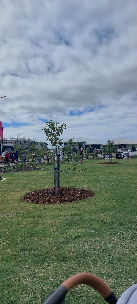 Dinosaur Park - Foto 1