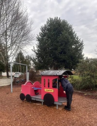 Carl Lobe Playground