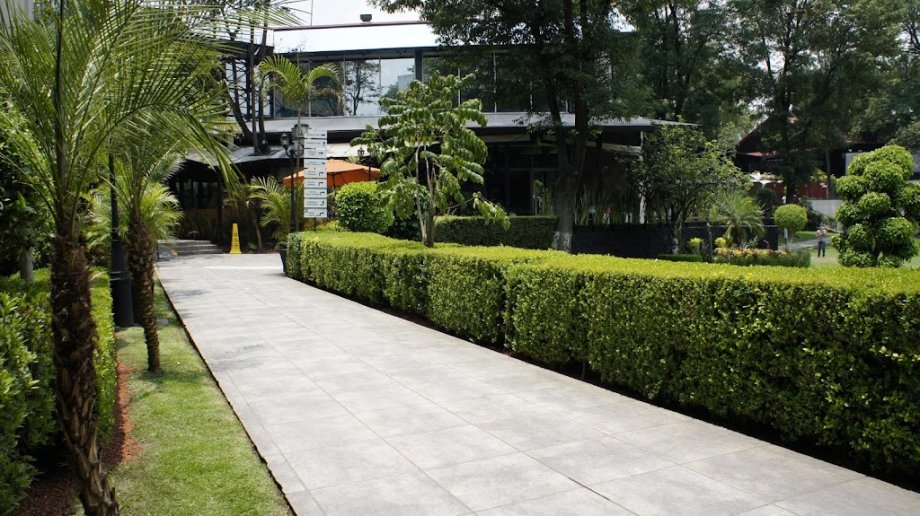 Restaurante Casa Club del Académico - Foto 7