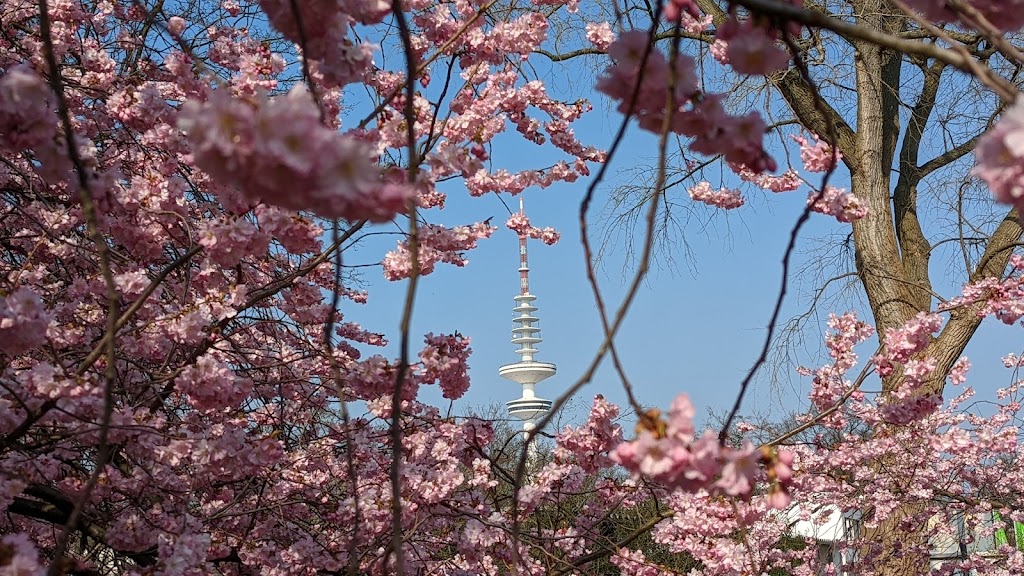 Spielplatz Planten Un Blomen - Foto 1