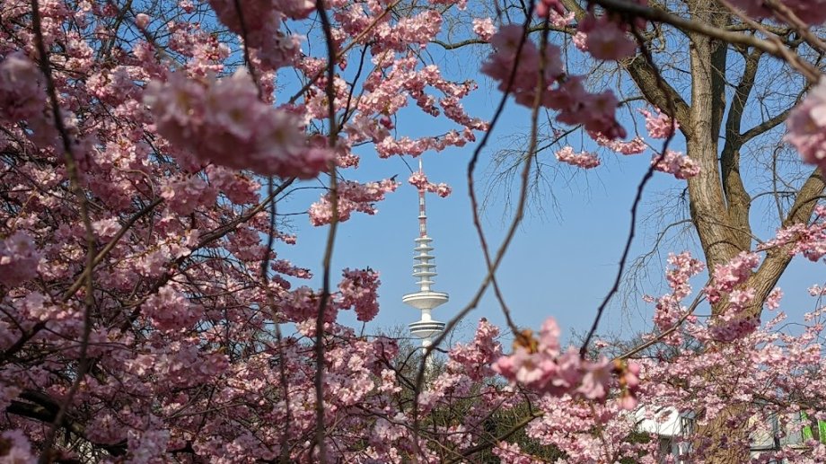 Spielplatz Planten Un Blomen - Foto 9