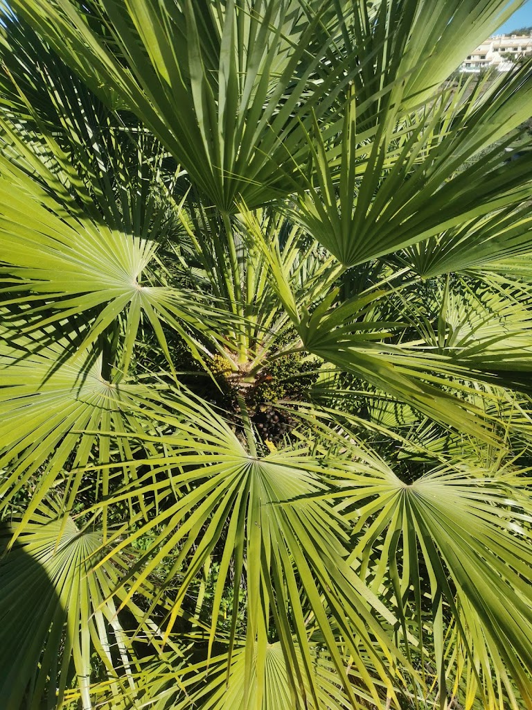 Parque do Ribeiro - Foto 1