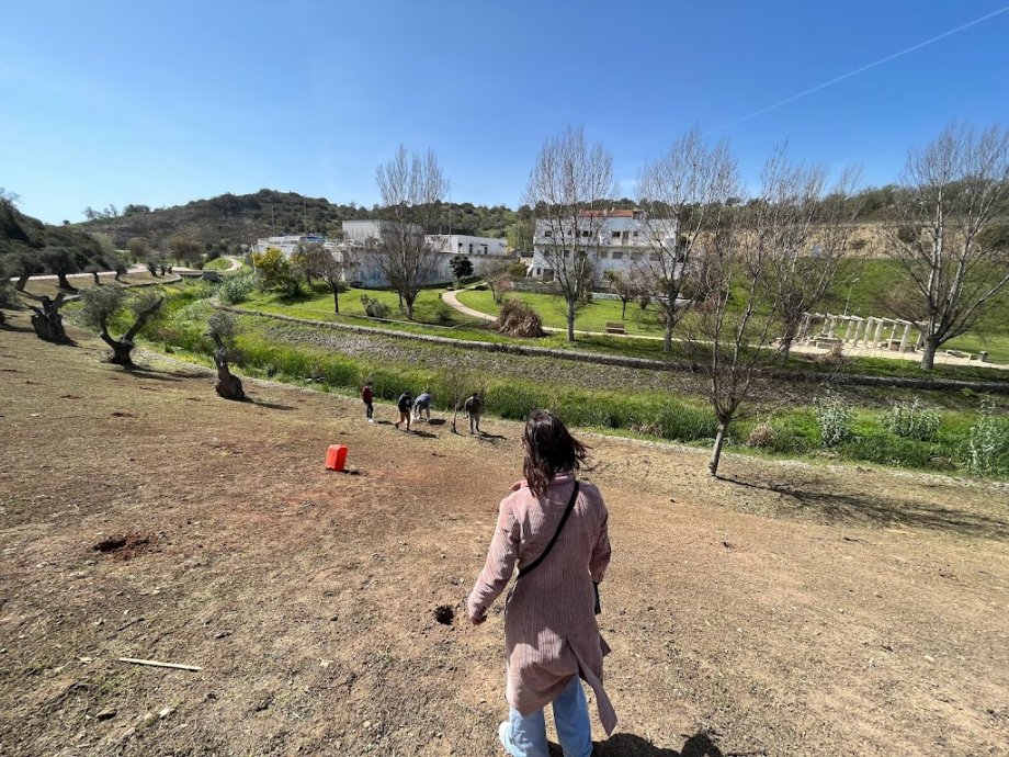 Parque do Ribeiro - Foto 9