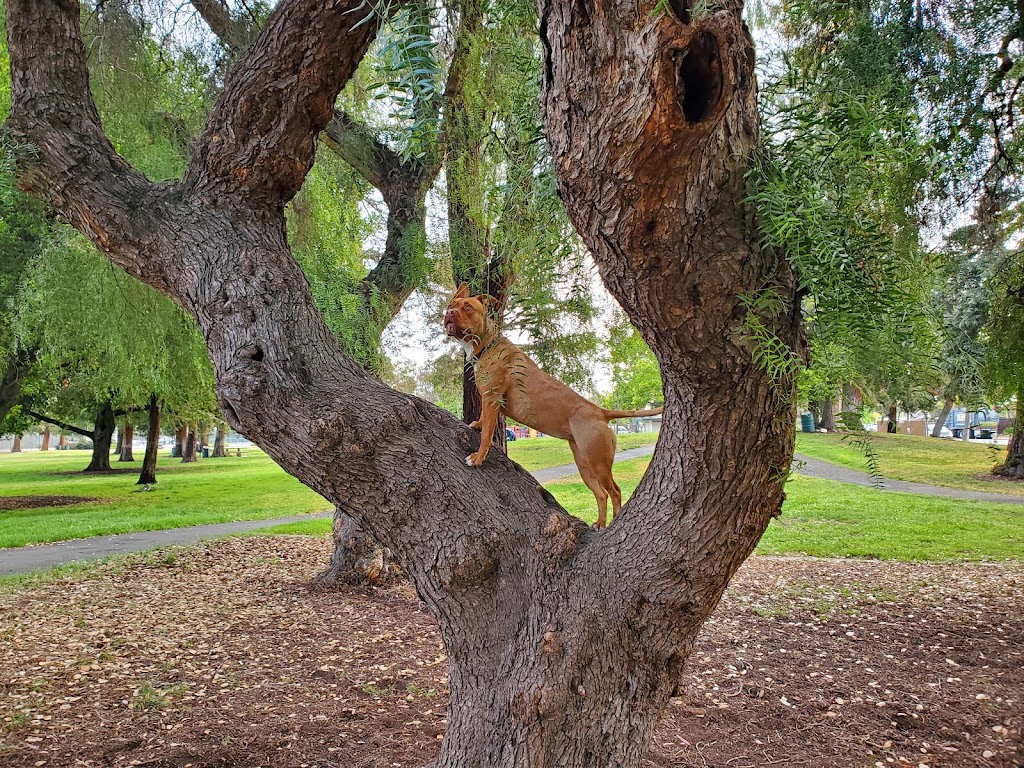 Paul Moore Park - Foto 1