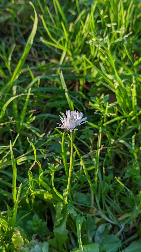 Paul Moore Park - Foto 10