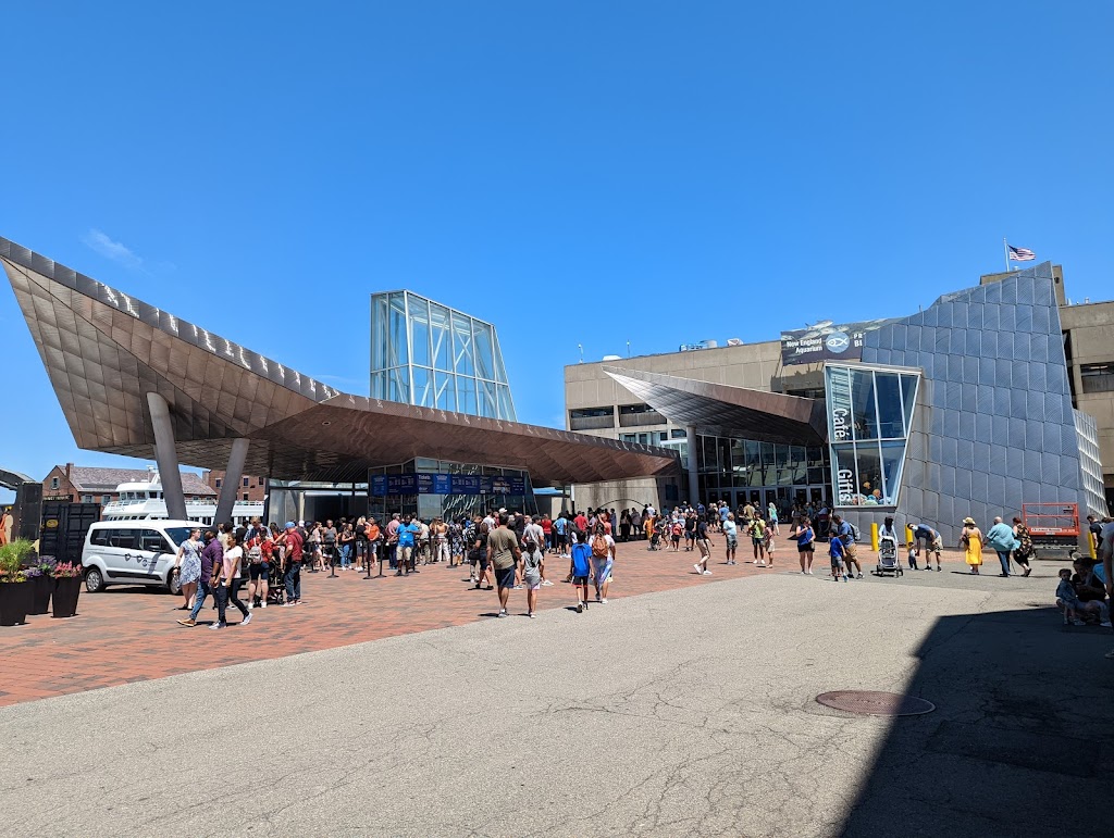 New England Aquarium - Foto 1