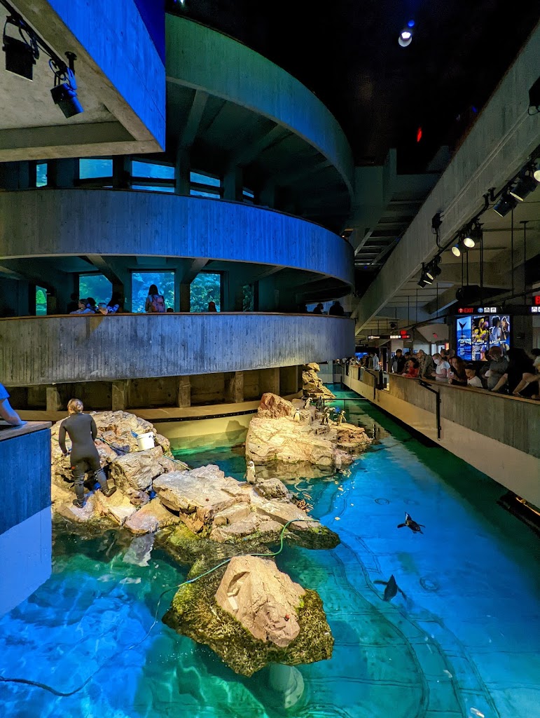 New England Aquarium