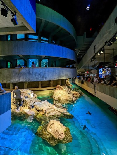 New England Aquarium