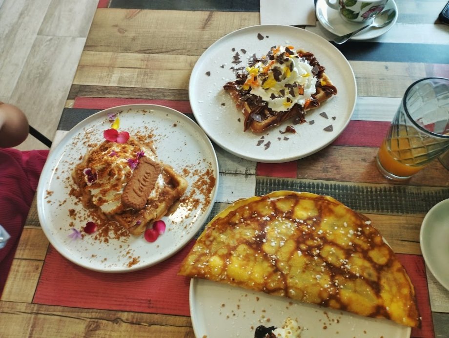 Los Girasoles - Foto 11