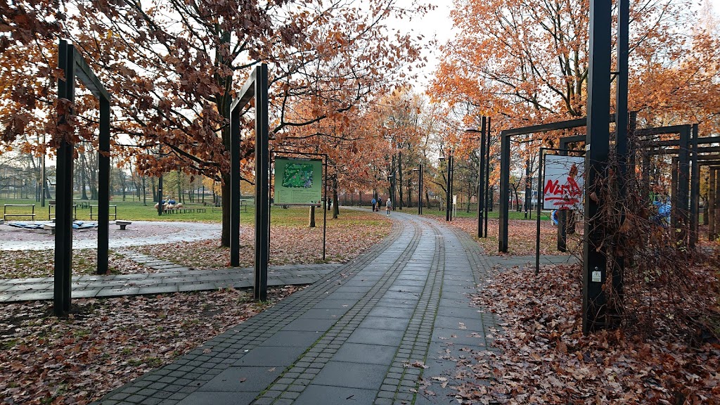 Park Henrykowski