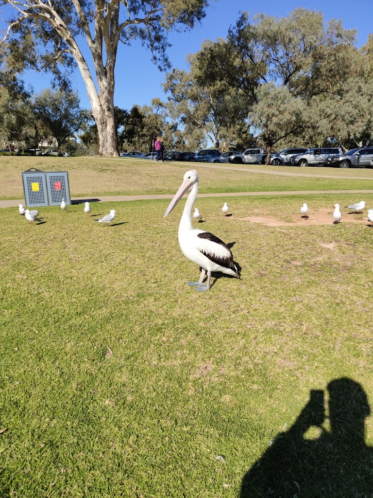 Mildura Water Play Park - Foto 1