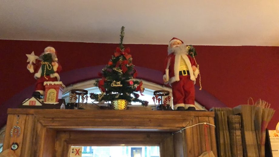 Café am Volkspark - Foto 10