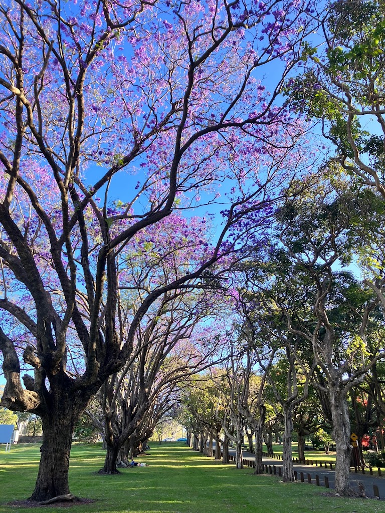 Colmslie Beach Reserve - Foto 1