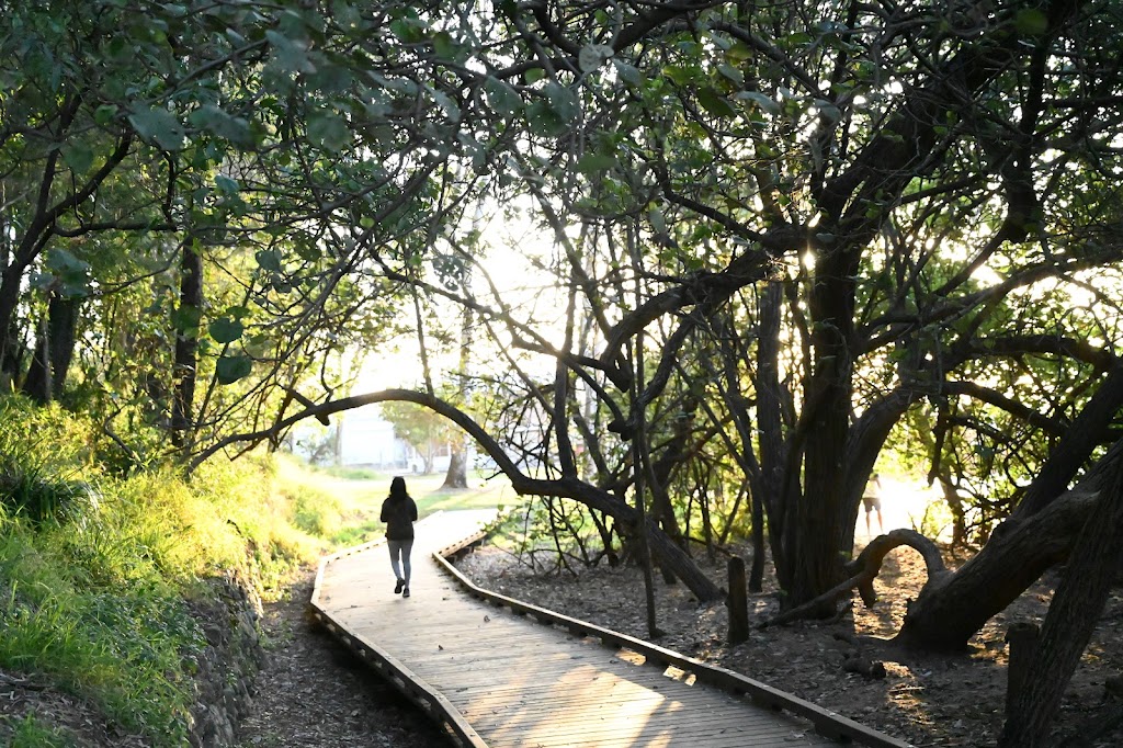 Colmslie Beach Reserve - Foto 1