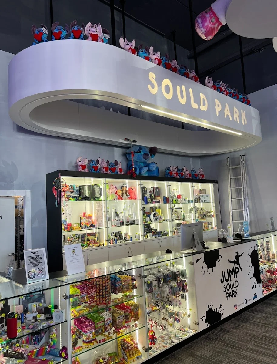 Sould Park Jump CC La Torre Outlet Zaragoza - Trampoline Park y Arcade - Foto 12