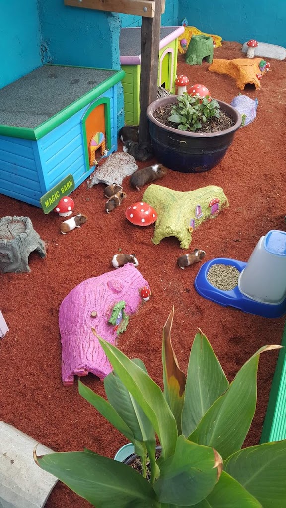 MAGIC BARN Fairy Garden - Foto 2