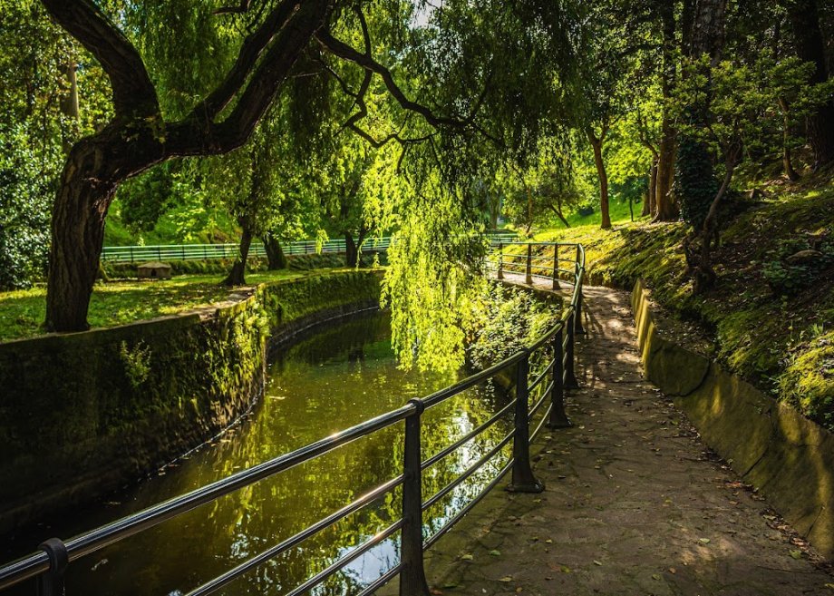 Parque de Mataleñas - Foto 8