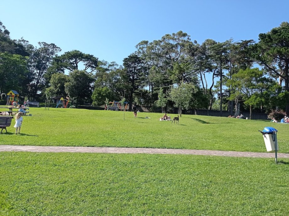 Parque de Mataleñas - Foto 10