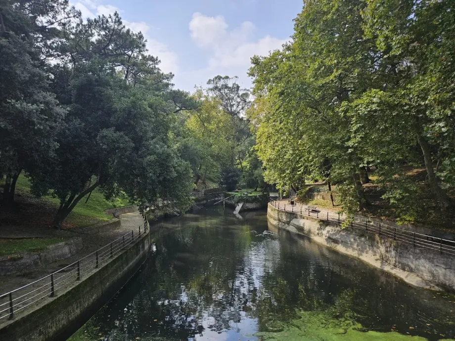 Parque de Mataleñas - Foto 12