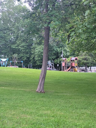 Parque de La Cantábrica