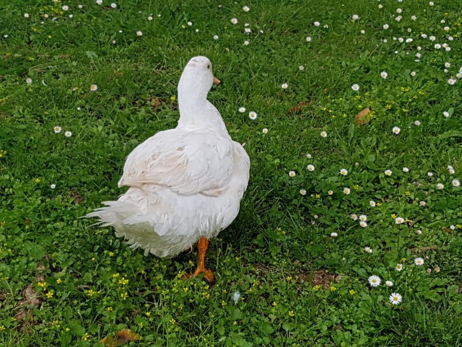 Parque de La Cantábrica - Foto 6