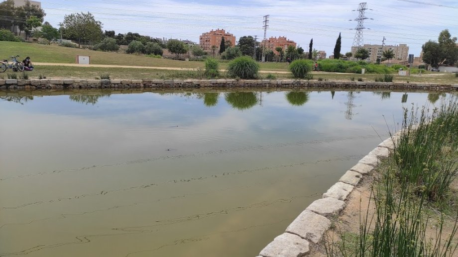 Parque Adolfo Suárez - Foto 3