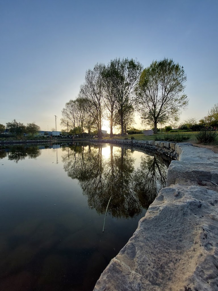 Parque Adolfo Suárez - Foto 10
