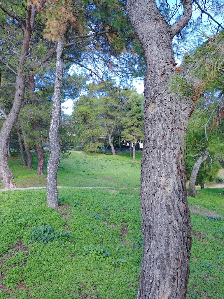 Parque de la Ladera - Foto 4