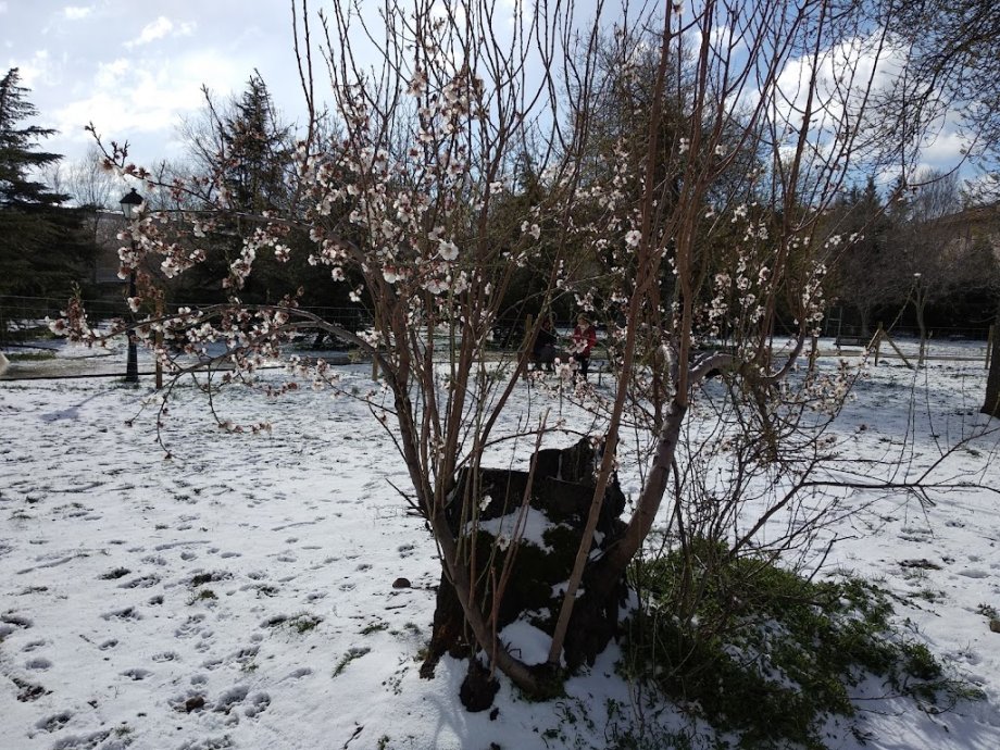 Parque de la Ladera - Foto 6