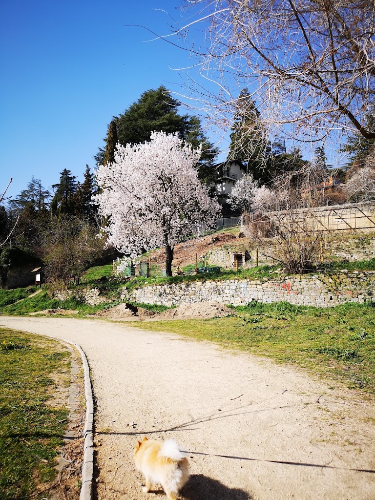 Parque de la Ladera - Foto 7