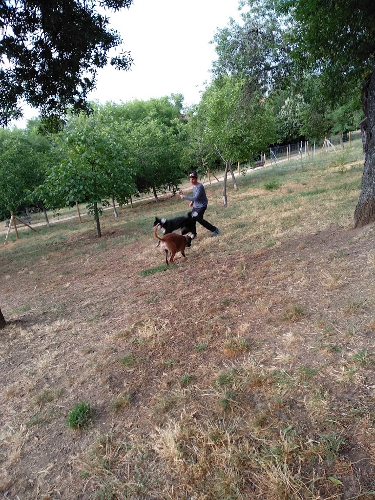 Parque de la Ladera - Foto 9