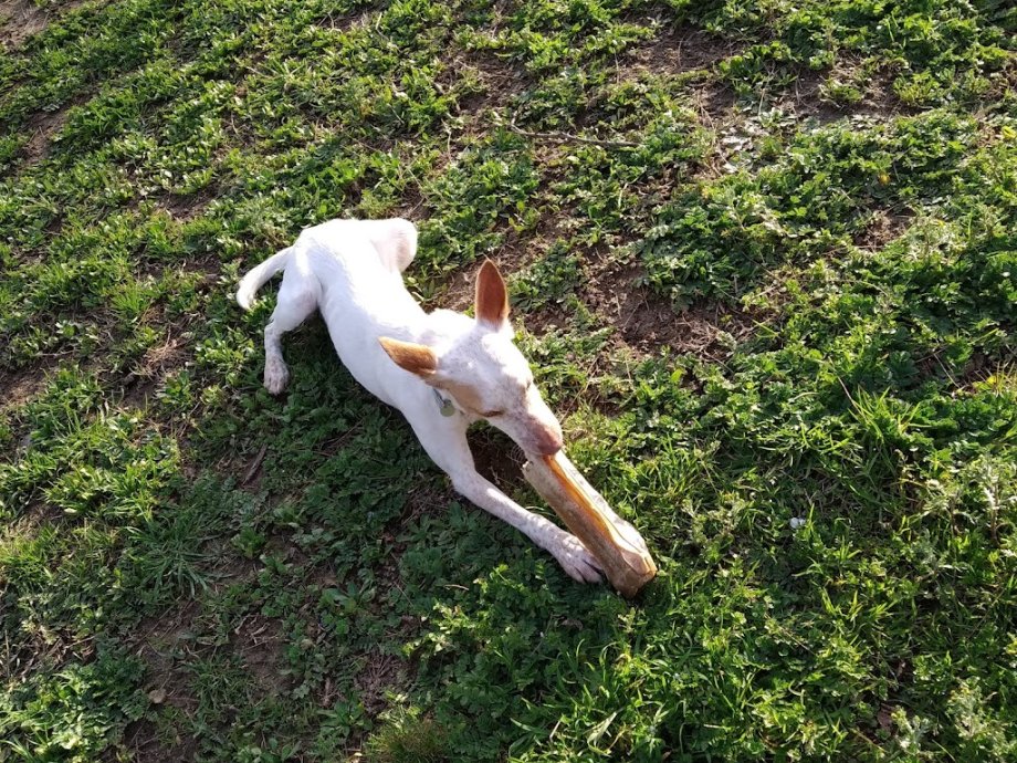 Parque de la Ladera - Foto 10