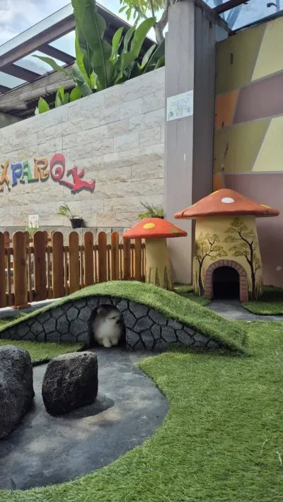 Playparq Kemang