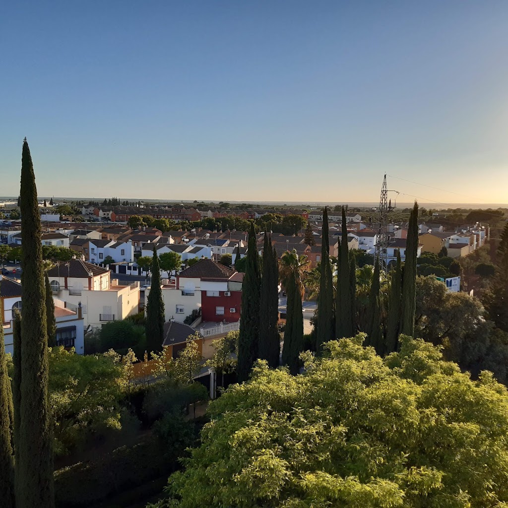 Mandarina garden - Espacio Sala Atelier San Vicente 6