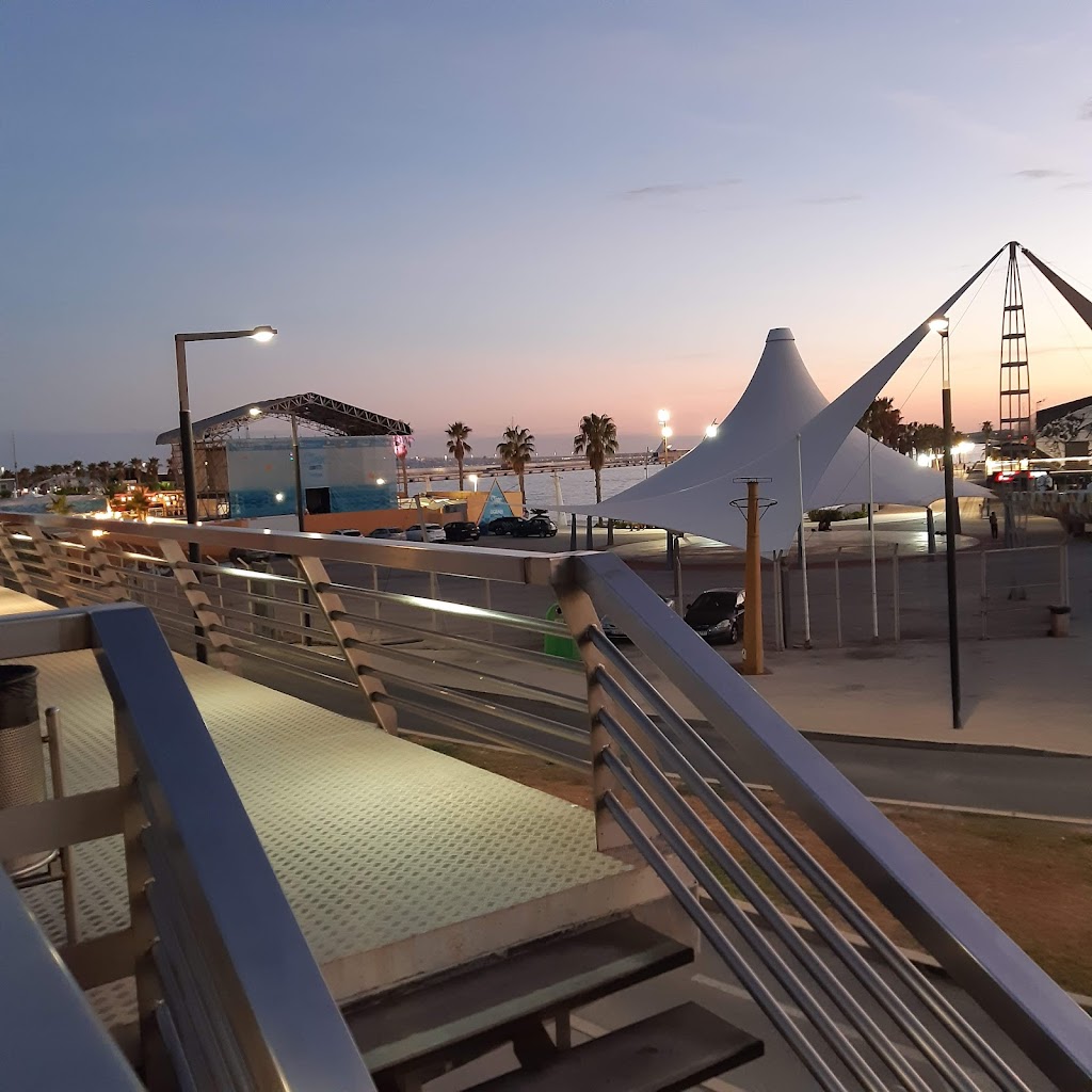 Mandarina garden - Espacio Sala Atelier San Vicente 7