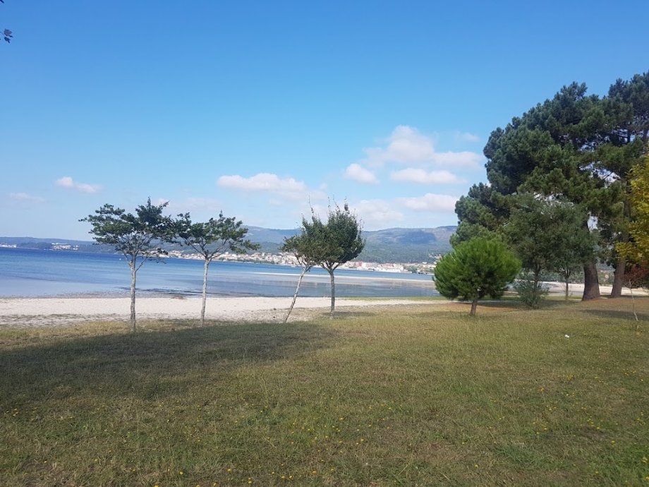 Parque Aventura Estuario Rio Coroño - Foto 10