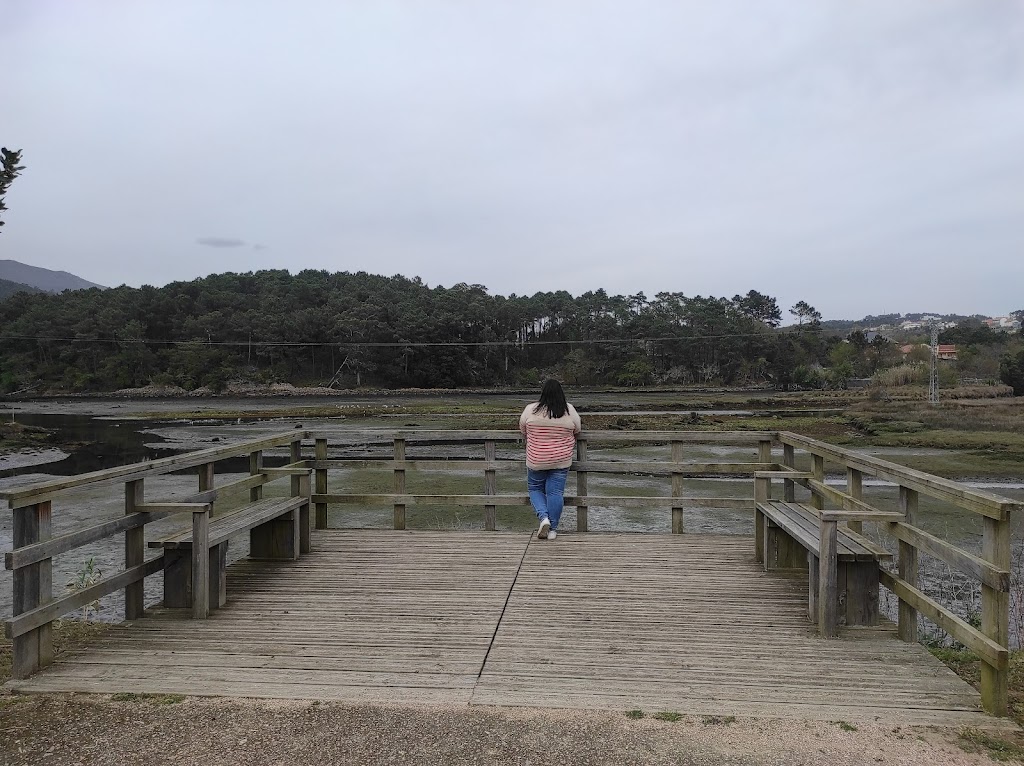 Parque playa jardin 1