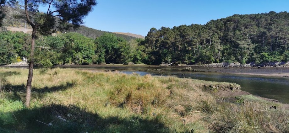 Parque playa jardin - Foto 5